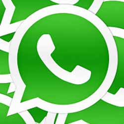 How to restore Chat in WhatsApp plus
